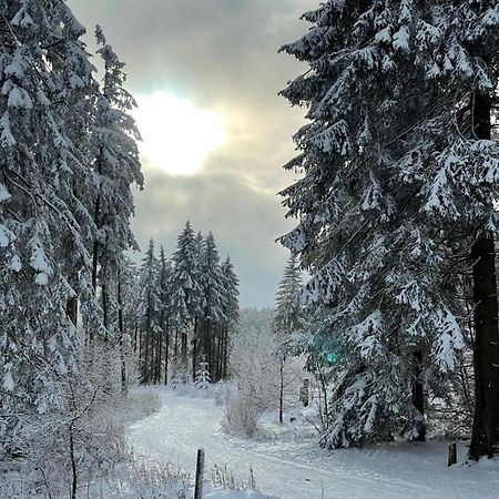 Apartamento FeWo Gipfelglück Willingen  Exterior foto